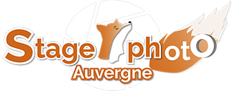 Logo Alicia Stage Photo Auvergne